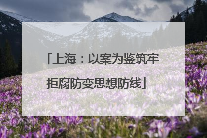 上海：以案为鉴筑牢拒腐防变思想防线