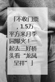 不收门票，1.5万平方米月季园爆火！一起去三好桥头看“龙凤呈祥”