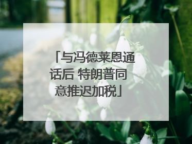 与冯德莱恩通话后 特朗普同意推迟加税