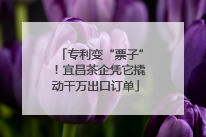 专利变“票子”！宜昌茶企凭它撬动千万出口订单