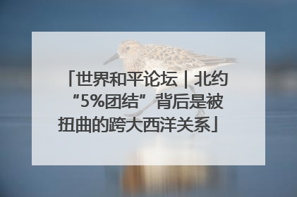 世界和平论坛｜北约“5%团结”背后是被扭曲的跨大西洋关系