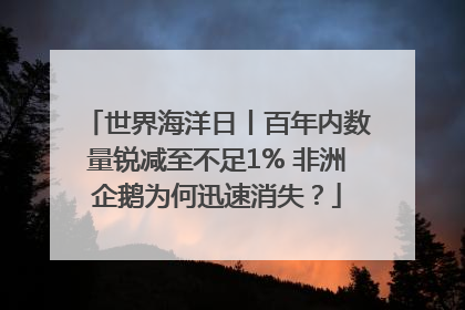 世界海洋日丨百年内数量锐减至不足1% 非洲企鹅为何迅速消失？