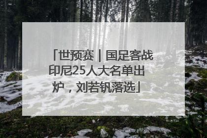 世预赛｜国足客战印尼25人大名单出炉，刘若钒落选
