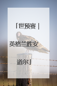 世预赛｜英格兰胜安道尔