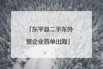 东平县二手车外贸企业首单出海