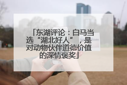 东湖评论：白马当选“湖北好人”，是对动物伙伴道德价值的深情褒奖