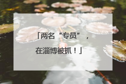 两名“专员”，在淄博被抓！