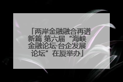 两岸金融融合再谱新篇 第六届“海峡金融论坛·台企发展论坛”在厦举办