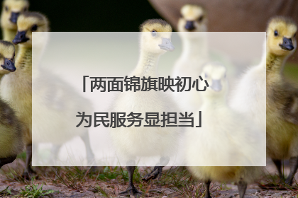 两面锦旗映初心 为民服务显担当