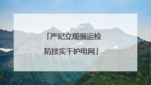 严纪立规强运检 精技实干护电网