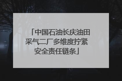 中国石油长庆油田采气二厂多维度拧紧安全责任链条