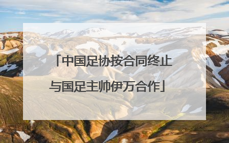 中国足协按合同终止与国足主帅伊万合作
