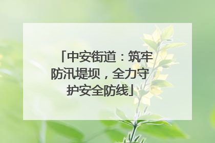 中安街道：筑牢防汛堤坝，全力守护安全防线