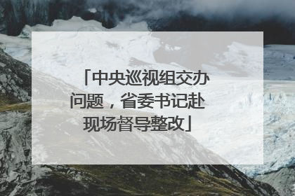 中央巡视组交办问题，省委书记赴现场督导整改