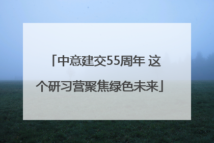 中意建交55周年 这个研习营聚焦绿色未来