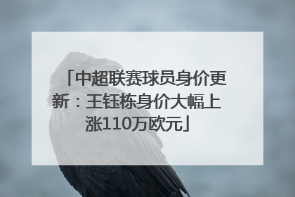 中超联赛球员身价更新：王钰栋身价大幅上涨110万欧元