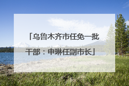 乌鲁木齐市任免一批干部：申琳任副市长