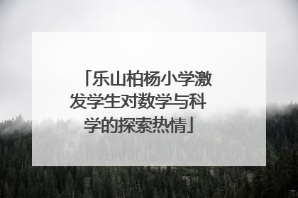 乐山柏杨小学激发学生对数学与科学的探索热情