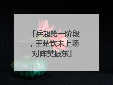 乒超第一阶段，王楚钦未上场对阵樊振东