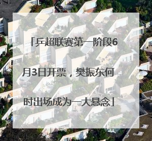 乒超联赛第一阶段6月3日开票，樊振东何时出场成为一大悬念