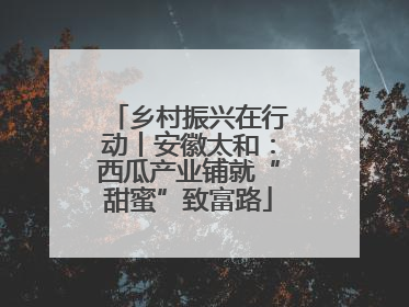 乡村振兴在行动丨安徽太和：西瓜产业铺就“甜蜜”致富路