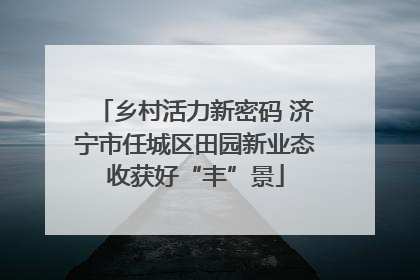 乡村活力新密码 济宁市任城区田园新业态收获好“丰”景