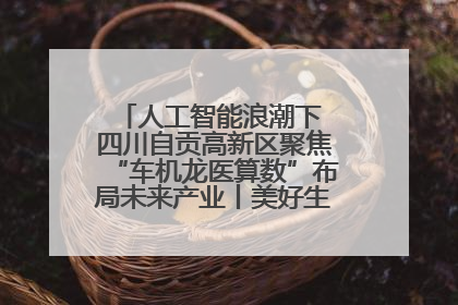 人工智能浪潮下 四川自贡高新区聚焦“车机龙医算数”布局未来产业丨美好生活有“盐”味