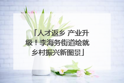 人才返乡 产业升级！李海务街道绘就乡村振兴新图景