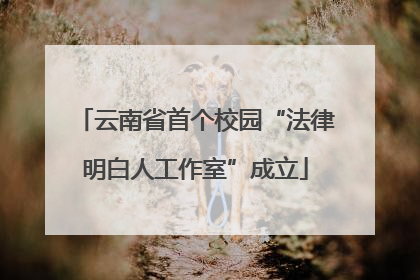 云南省首个校园“法律明白人工作室”成立