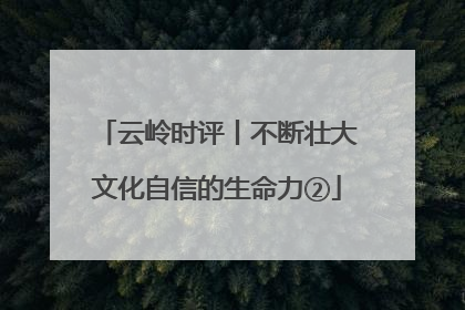 云岭时评丨不断壮大文化自信的生命力②
