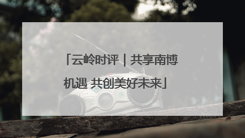 云岭时评｜共享南博机遇 共创美好未来