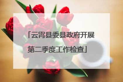 云霄县委县政府开展第二季度工作检查