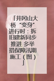 井冈山大桥“变身”进行时：拆旧建新同步推进 多举措保障汛期施工（图）