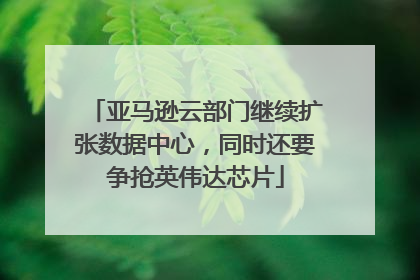亚马逊云部门继续扩张数据中心，同时还要争抢英伟达芯片