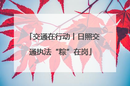 交通在行动丨日照交通执法“粽”在岗