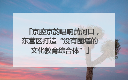 京腔京韵唱响黄河口，东营区打造“没有围墙的文化教育综合体”