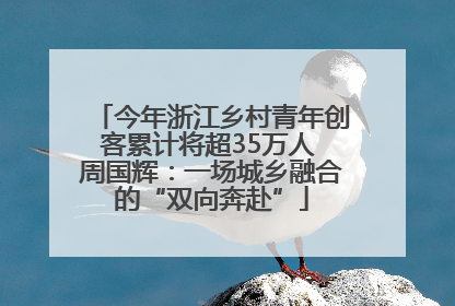 今年浙江乡村青年创客累计将超35万人 周国辉：一场城乡融合的“双向奔赴”