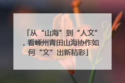 从“山海”到“人文”，看嵊州青田山海协作如何“文”出新精彩