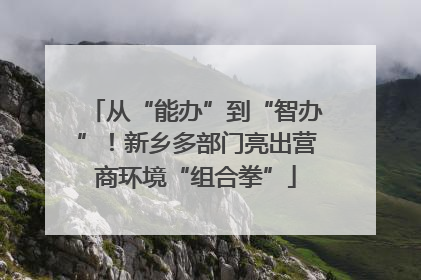 从“能办”到“智办”！新乡多部门亮出营商环境“组合拳”