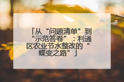 从“问题清单”到“示范答卷”：利通区农业节水整改的“蝶变之路”
