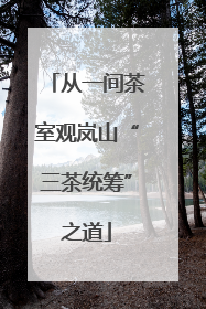 从一间茶室观岚山“三茶统筹”之道
