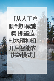 从人工弯腰到机械驰骋 即墨蓝村水稻种植开启智能农耕新模式