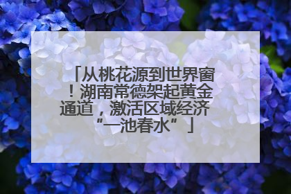 从桃花源到世界窗！湖南常德架起黄金通道，激活区域经济“一池春水”