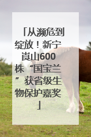 从濒危到绽放！新宁崀山600株“国宝兰”获省级生物保护嘉奖