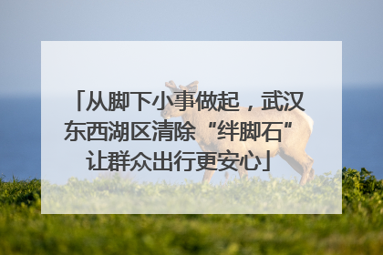 从脚下小事做起，武汉东西湖区清除“绊脚石”让群众出行更安心