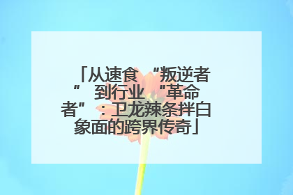 从速食 “叛逆者” 到行业 “革命者”：卫龙辣条拌白象面的跨界传奇