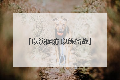 以演促防 以练备战