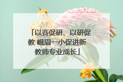 以赛促研、以研促教 峨眉一小促进新教师专业成长