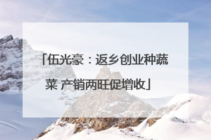 伍光豪：返乡创业种蔬菜 产销两旺促增收