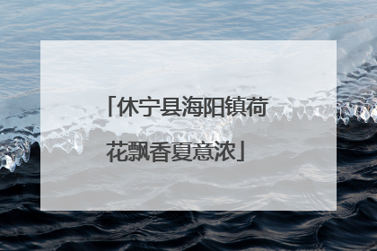 休宁县海阳镇荷花飘香夏意浓